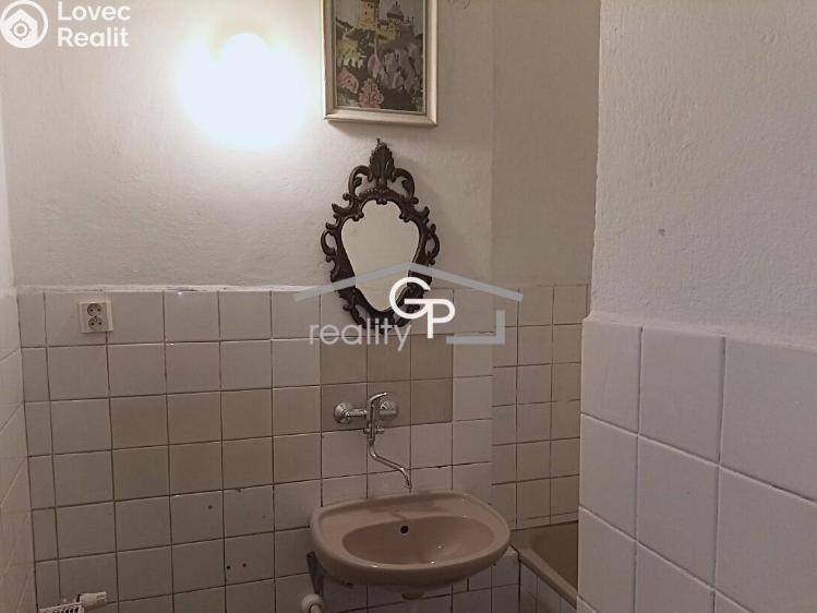 Pronájem bytu 1+1 České Budějovice, Fráni Šrámka č. 6