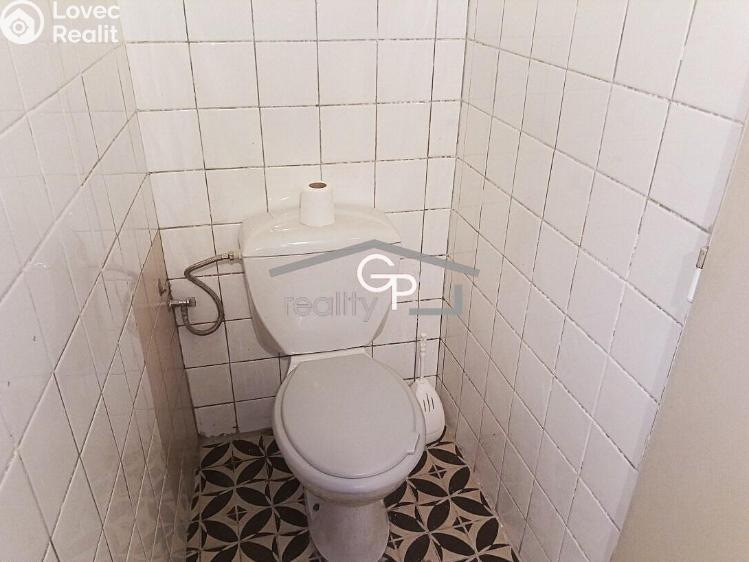 Pronájem bytu 1+1 České Budějovice, Fráni Šrámka č. 7