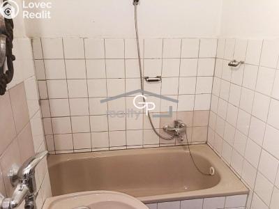 Pronájem bytu 1+1 České Budějovice, Fráni Šrámka č. 5