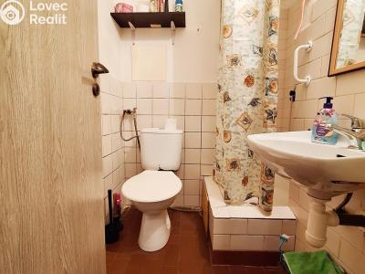 Pronájem bytu 1+KK Kopřivnice, Záhumenní č. 3