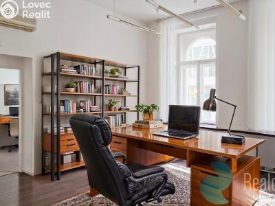 Rent office space Praha, Opletalova č. 2