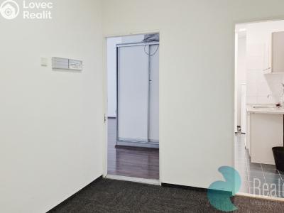 Rent office space Praha, Opletalova č. 6