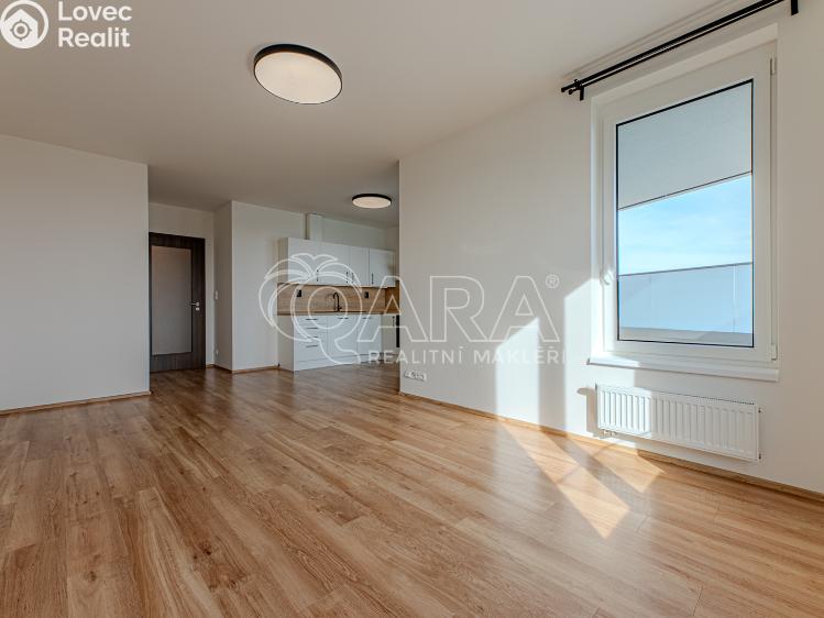 Rent apartment 2+KK Praha, Ferrariho 3083/2 č. 7