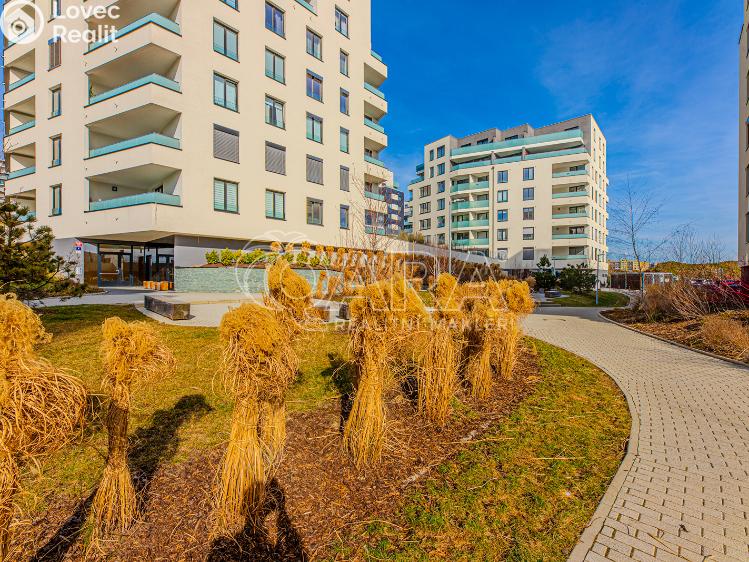 Rent apartment 2+KK Praha, Ferrariho 3083/2 č. 17