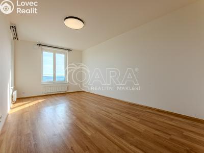 Rent apartment 2+KK Praha, Ferrariho č. 6