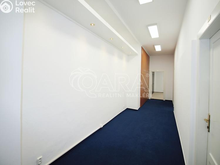 Pronájem kanceláře Praha, Vodičkova 699/28 č. 8