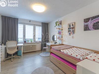 Prodej bytu 3+1 Ostrava, Lumírova č. 6