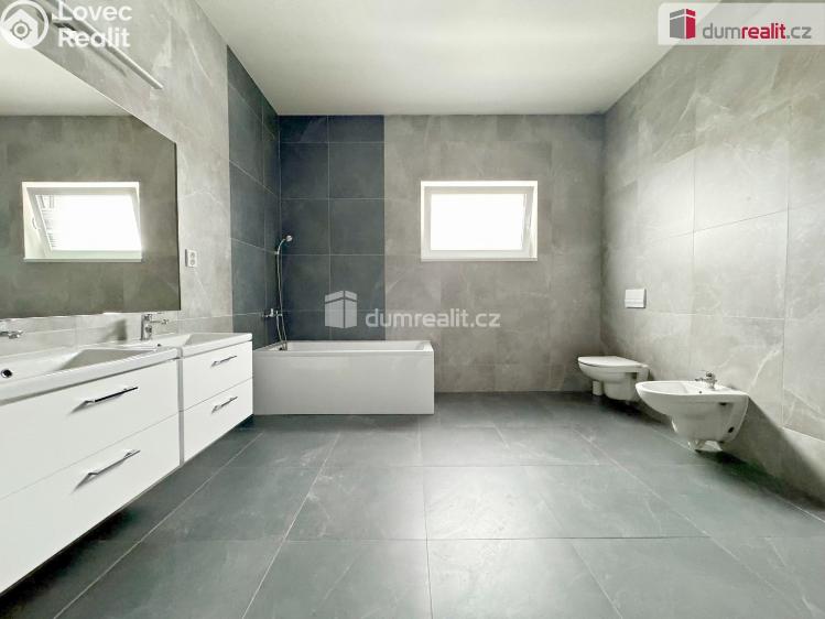 Pronájem rodinného domu Nezabylice č. 5