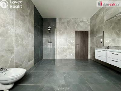 Pronájem rodinného domu Nezabylice č. 4