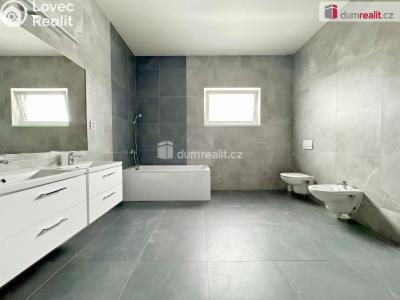 Pronájem rodinného domu Nezabylice č. 5