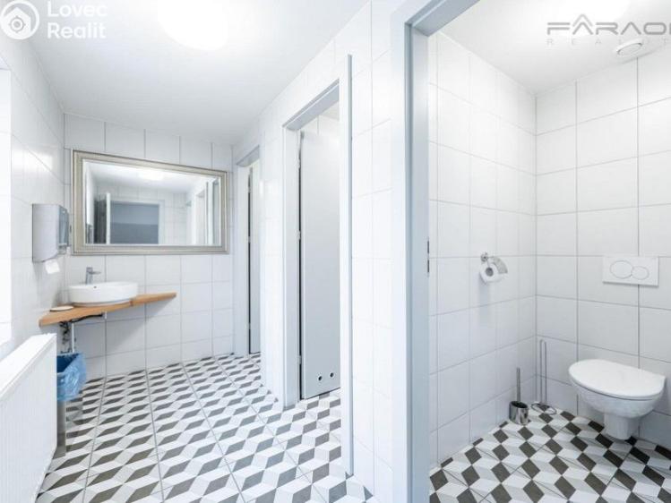 Pronájem skladového prostoru Mladá Boleslav č. 9