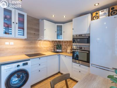 Prodej bytu 3+1 Ostrava, Lumírova č. 1