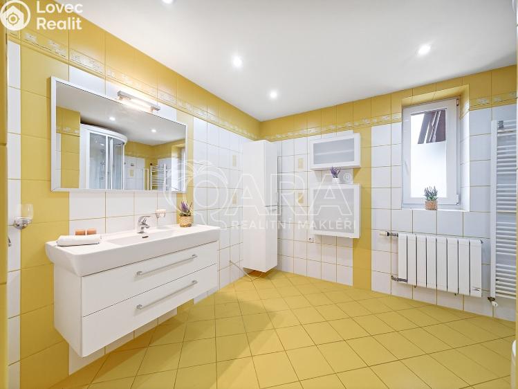 Sale family house Horní Moštěnice, Havlíčkova 459/44 č. 11