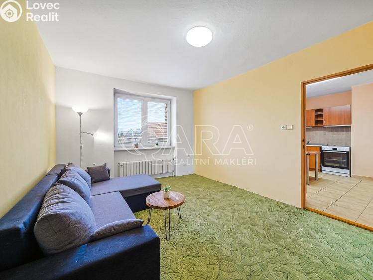 Sale family house Horní Moštěnice, Havlíčkova 459/44 č. 23