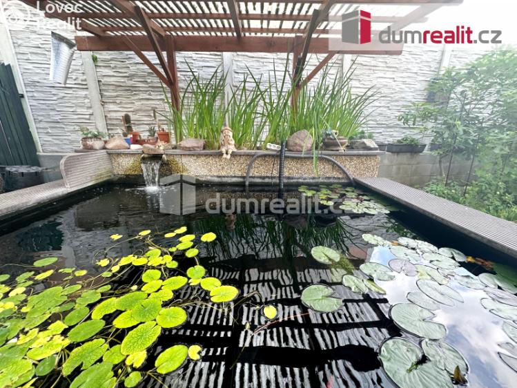 Pronájem bytu 3+1 Teplice, Jiřího Wolkera č. 11