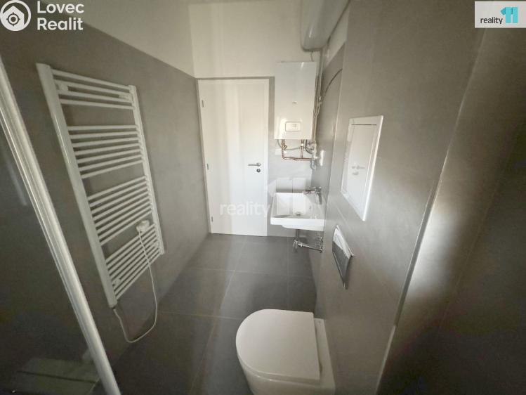 Rent apartment 1+1 Praha 4, Hanusova č. 10