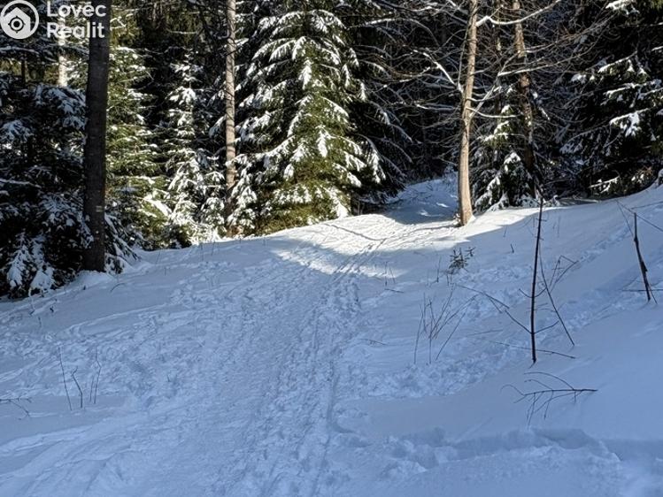 Продаж квартири 2+KK Železná Ruda č. 24