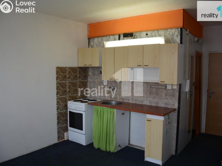 Pronájem bytu 1+KK Nové Sedlo, Revoluční č. 2