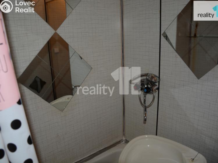 Pronájem bytu 1+KK Nové Sedlo, Revoluční č. 5