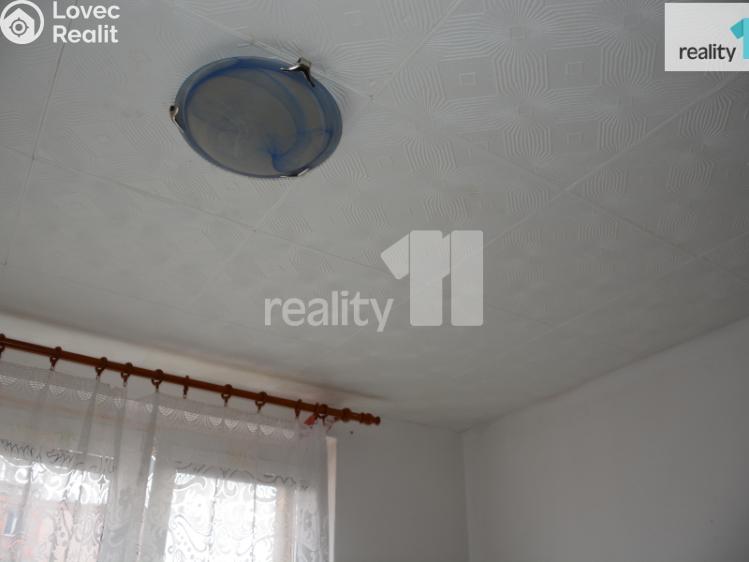 Pronájem bytu 1+KK Nové Sedlo, Revoluční č. 6