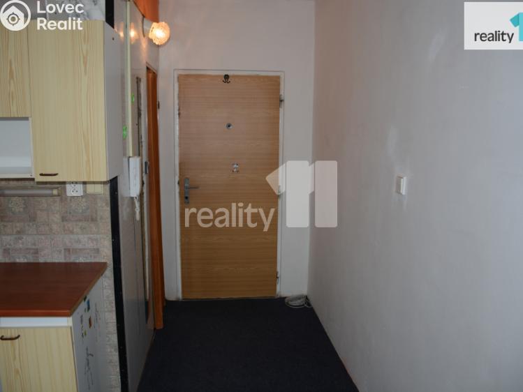 Pronájem bytu 1+KK Nové Sedlo, Revoluční č. 8