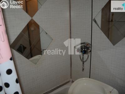 Pronájem bytu 1+KK Nové Sedlo, Revoluční č. 5