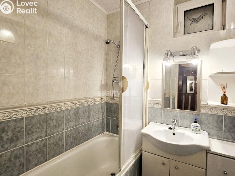 Pronájem bytu 2+1 Kolín, V Břízách č. 8