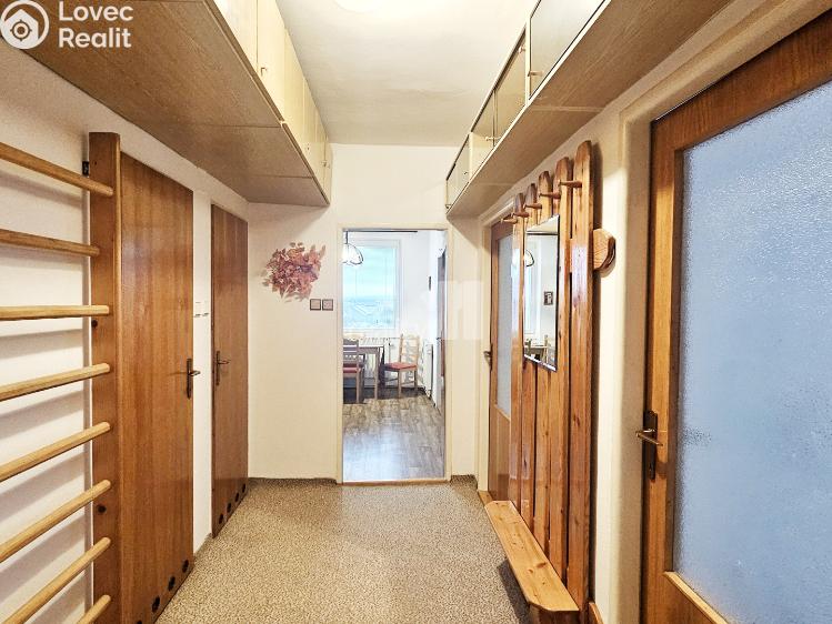 Pronájem bytu 2+1 Kolín, V Břízách č. 9