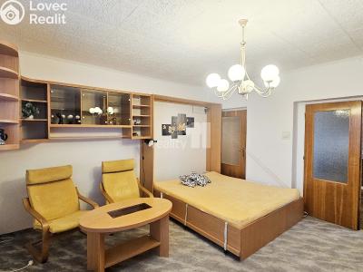 Pronájem bytu 2+1 Kolín, V Břízách č. 5