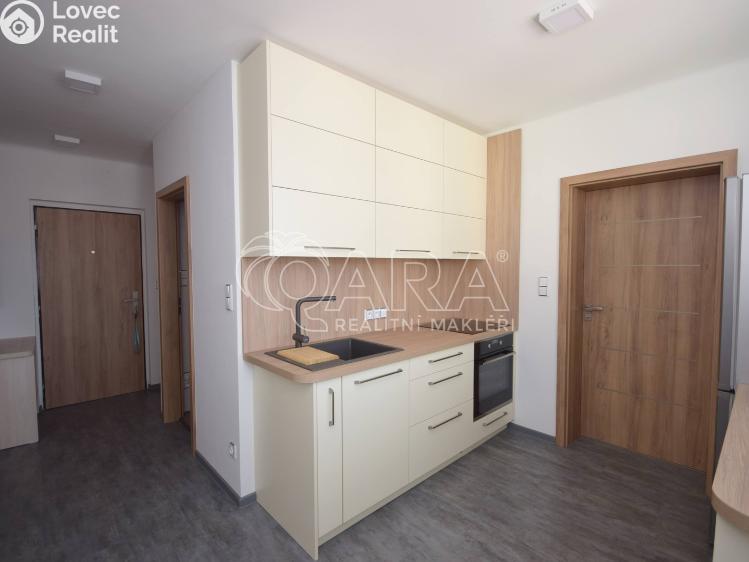 Pronájem bytu 2+1 Strakonice, Sokolovská 981 č. 2