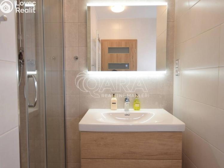 Pronájem bytu 2+1 Strakonice, Sokolovská 981 č. 11