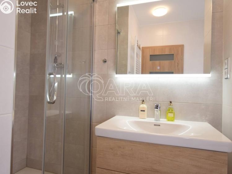 Pronájem bytu 2+1 Strakonice, Sokolovská 981 č. 12