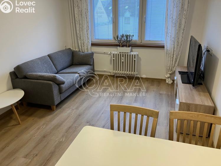 Pronájem bytu 2+1 Strakonice, Sokolovská 981 č. 13