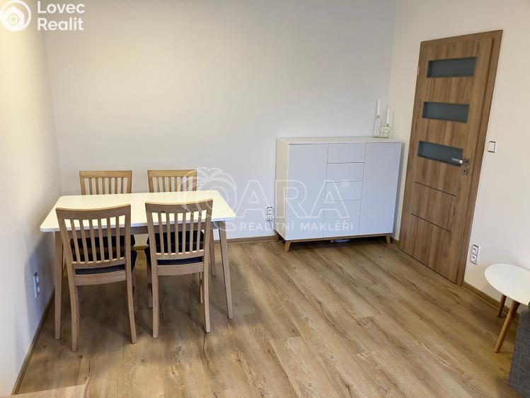 Pronájem bytu 2+1 Strakonice, Sokolovská 981 č. 14