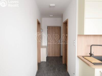 Pronájem bytu 2+1 Strakonice, Sokolovská 981 č. 4