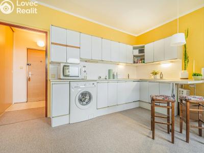 Prodej bytu 1+KK Praha, U Kamýku č. 6