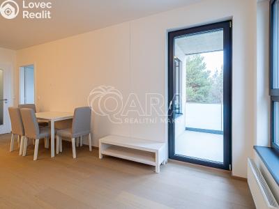 Pronájem bytu 2+KK Praha, Azzoniho č. 3