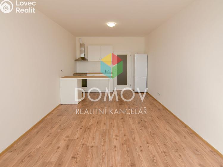 Pronájem bytu 1+KK Chýně, Premonstrátů 910 č. 3