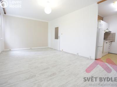 Pronájem bytu 1+KK Praha, Bazovského č. 1