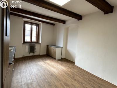 Pronájem bytu 1+KK Kostelec nad Černými lesy, Pražská č. 3