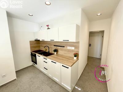 Pronájem bytu 2+1 Jihlava, Bratří Čapků č. 1