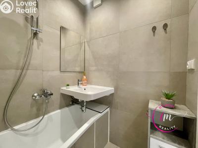 Pronájem bytu 2+1 Jihlava, Bratří Čapků č. 2