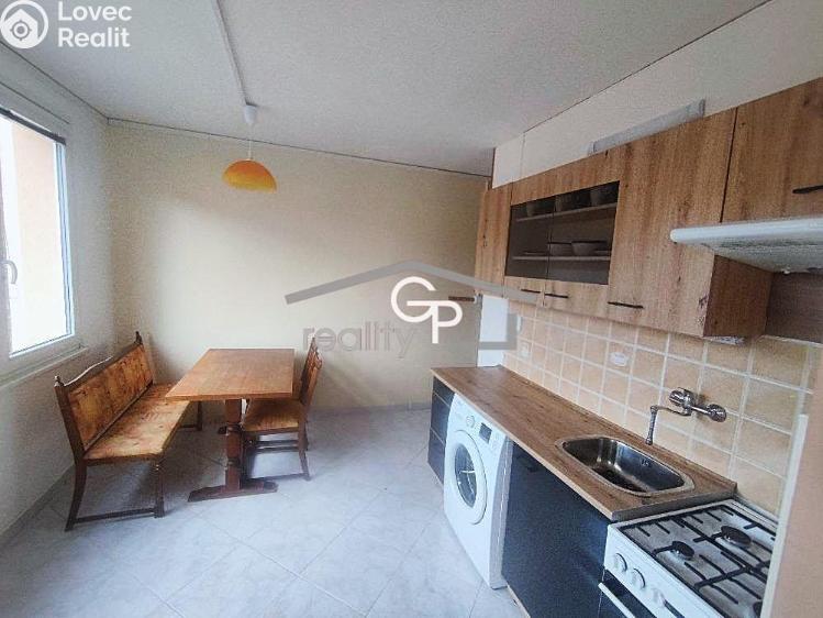 Pronájem bytu 1+1 České Budějovice, Mánesova č. 1