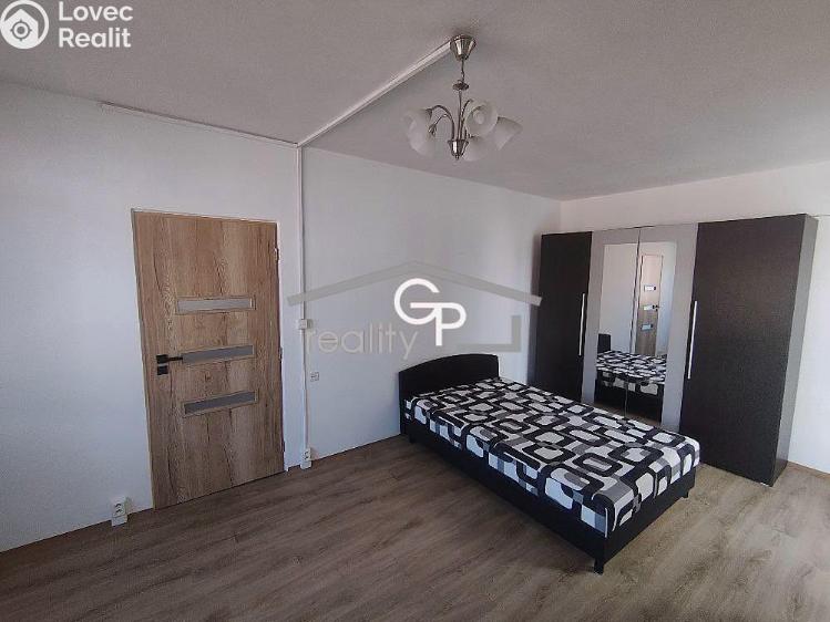 Pronájem bytu 1+1 České Budějovice, Mánesova č. 3