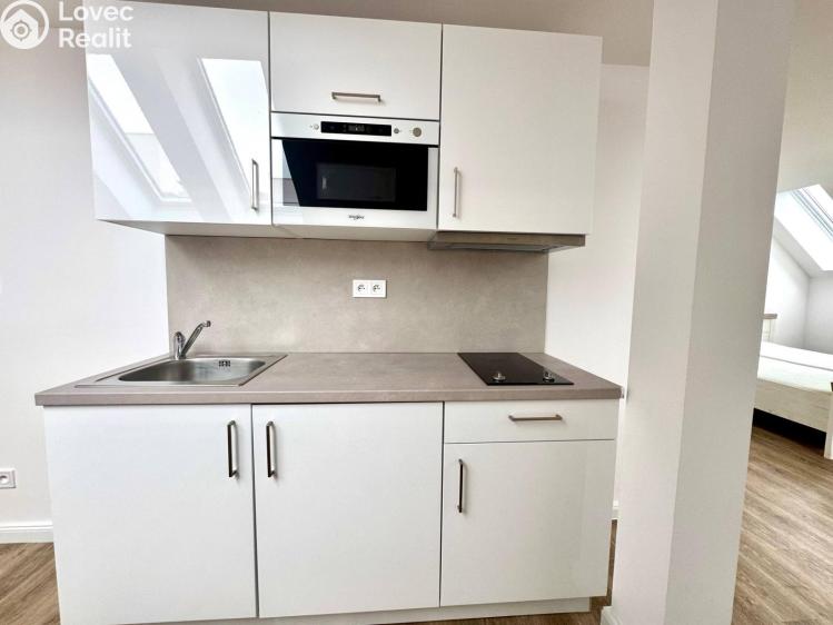 Pronájem bytu 1+KK Praha, Biskupská č. 7