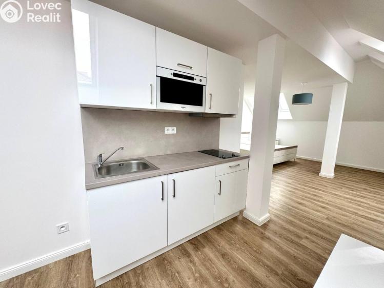 Pronájem bytu 1+KK Praha, Biskupská č. 8