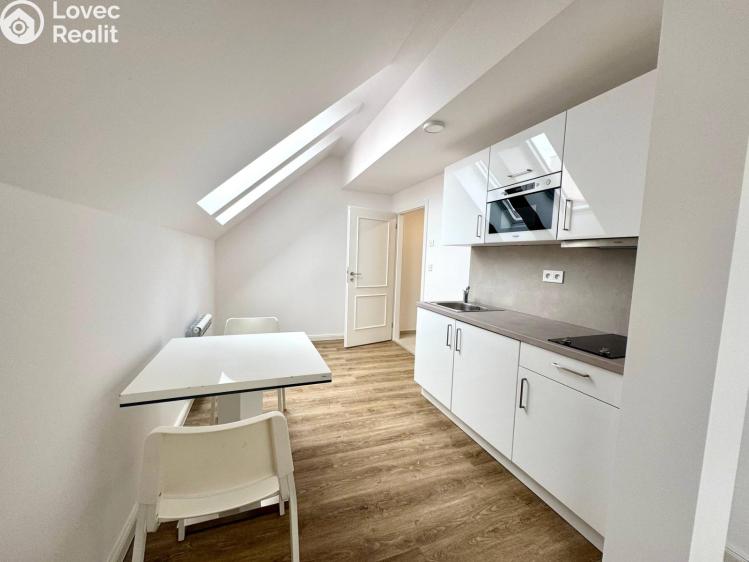 Pronájem bytu 1+KK Praha, Biskupská č. 9