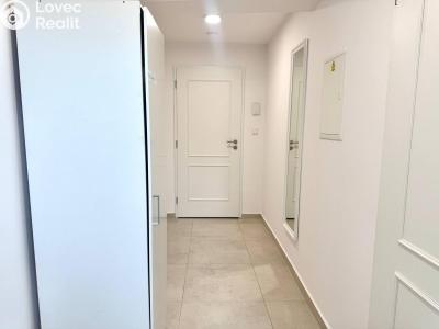 Pronájem bytu 1+KK Praha, Biskupská č. 3