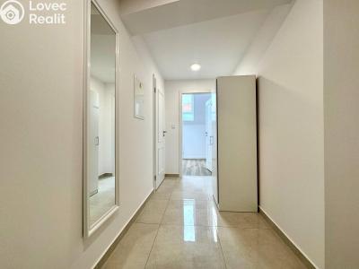 Pronájem bytu 1+KK Praha, Biskupská č. 4