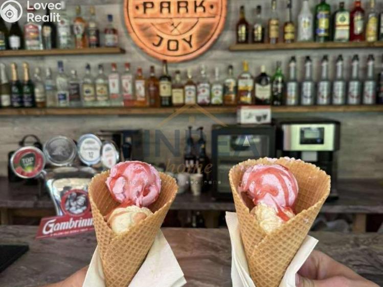 Pronájem komerční nemovitosti Roztoky, Třešňovka č. 7